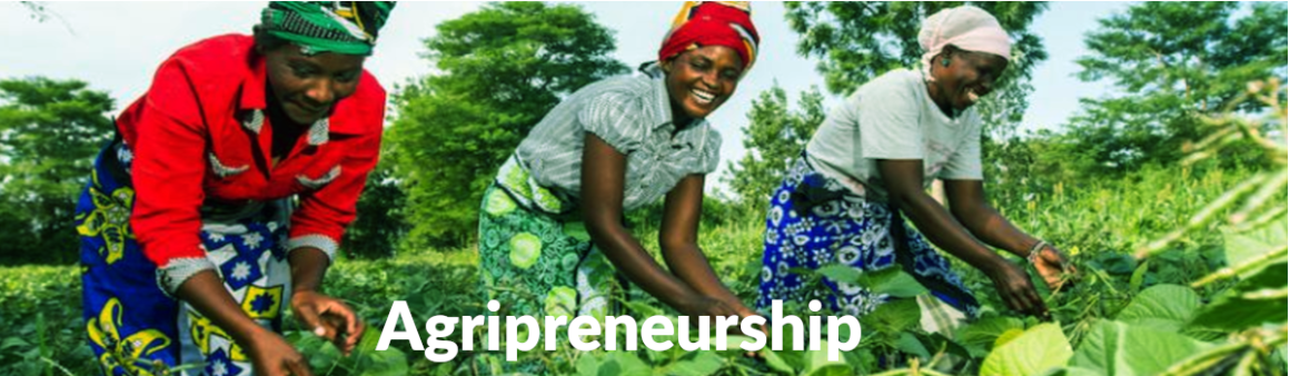 Agripreneurship